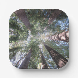 Papieren Borden en Kommen California Redwoods Kijk Bordje