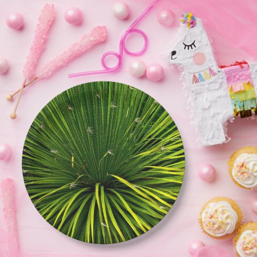 PAPIEREN BORDEN MET GROENE SOTOL PLANT PAPIEREN BORDJE (Feest)