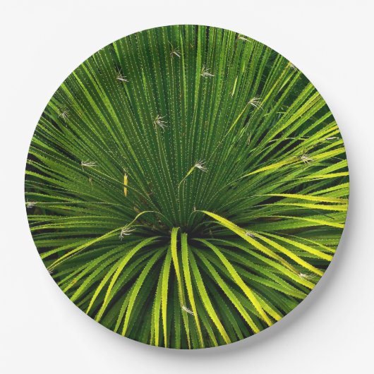 PAPIEREN BORDEN MET GROENE SOTOL PLANT PAPIEREN BORDJE (Voorkant)