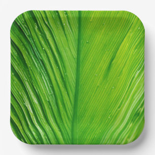Papieren Borden met Leaf Design Bordje