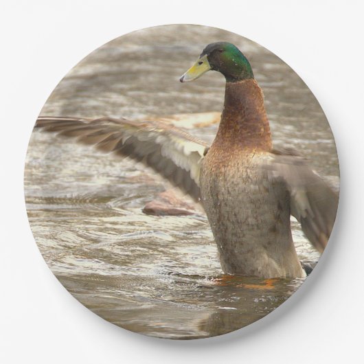 Papieren borden met wilde eend bordje (Voorkant)