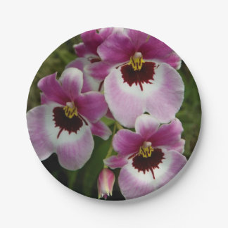 Papieren Borden - Pansy Orchid Bordje