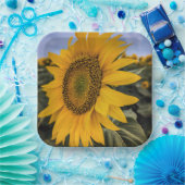 Papieren Borden Papieren Bordje (Feest)