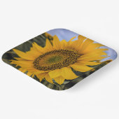 Papieren Borden Papieren Bordje (Gebogen)