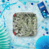 Papieren borden papieren bordje (Feest)