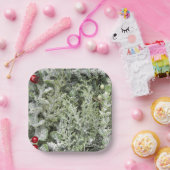 Papieren borden papieren bordje (Feest)