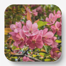 Papieren Borden Papieren Bordje