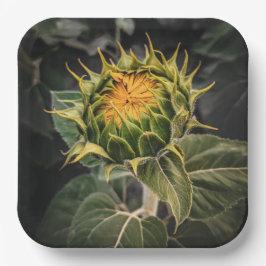 Papieren Borden Papieren Bordje