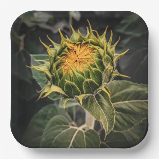 Papieren Borden Papieren Bordje (Voorkant)