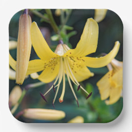 Papieren Borden Papieren Bordje