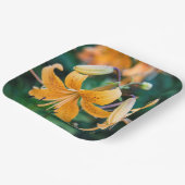 Papieren Borden Papieren Bordje (Gebogen)