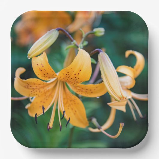 Papieren Borden Papieren Bordje (Voorkant)