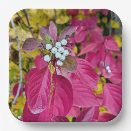 Papieren Borden Papieren Bordje