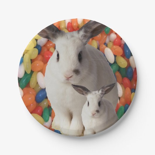 Papieren borden sneller papieren bordje (Voorkant)