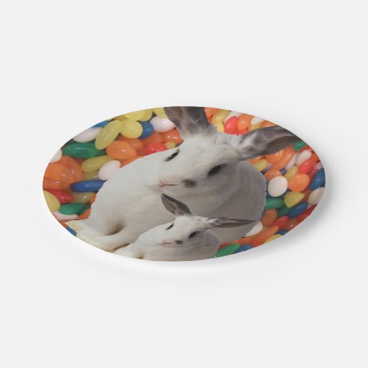 Papieren borden sneller papieren bordje (Gekanteld)