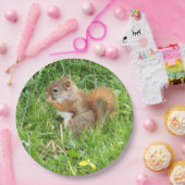 Papieren Borden " thema, mooie rode eekhoorn " Papieren Bordje (Feest)