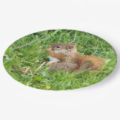 Papieren Borden " thema, mooie rode eekhoorn " Papieren Bordje (Gekanteld)