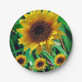 Papieren borden Zonnebloemen Papieren Bordje (Voorkant)