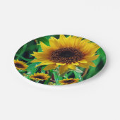 Papieren borden Zonnebloemen Papieren Bordje (Gekanteld)
