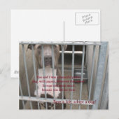 papieren briefkaart (Voorkant / Achterkant)