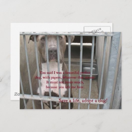 papieren briefkaart (Voorkant / Achterkant)