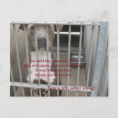 papieren briefkaart (Voorkant)