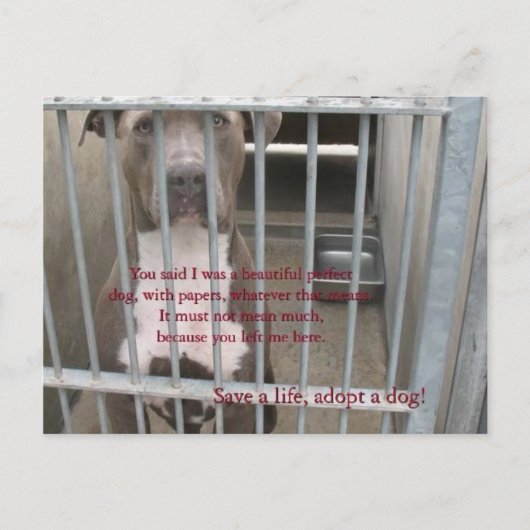 papieren briefkaart (Voorkant)