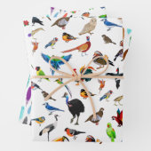 Papieren brochures voor het verpakken van vogels inpakpapier vel (In situ)