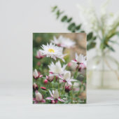 Papieren cascade [Briefkaart] Briefkaart (Staand voorkant)