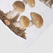 Papieren houtafels ontbinden met stool tissuepapier (Detail)