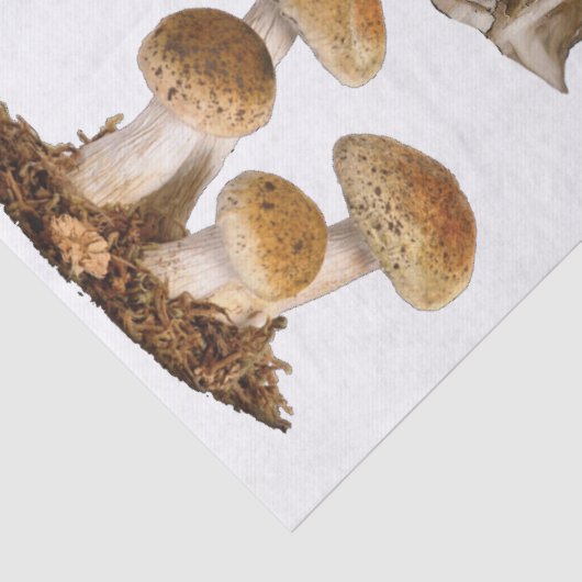 Papieren houtafels ontbinden met stool tissuepapier (Detail)