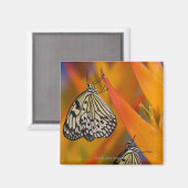 Papieren karitaafjes (Idea leuconoe) op bloem Magneet (Voorkant / Achterkant)