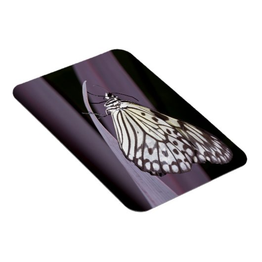 Papieren Kite op paars Agave blad Magneet (Rechterzijde)