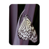 Papieren Kite op paars Agave blad Magneet (Verticaal)