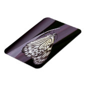 Papieren Kite op paars Agave blad Magneet (Linkerzijde)