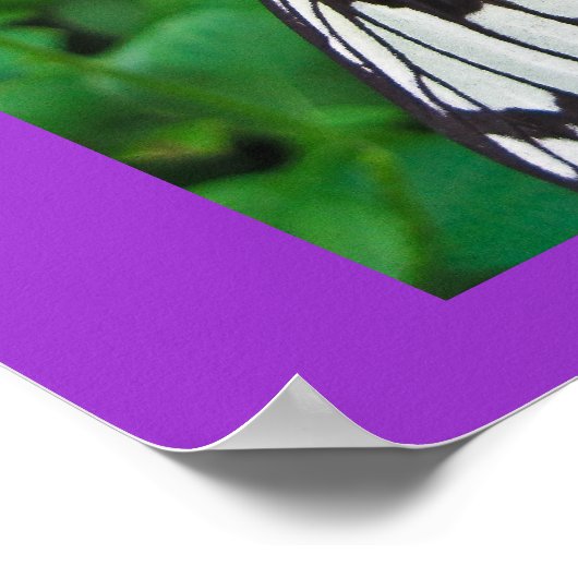 Papieren kite op Paarse ventilator Poster (Hoek)