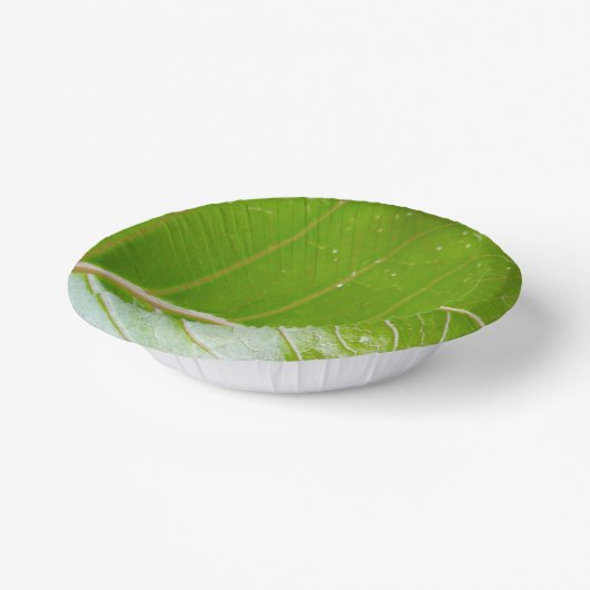 Papieren kom met Leaf Design (Gebogen)