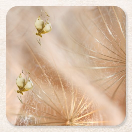 Papieren onderzetters (Voorkant)