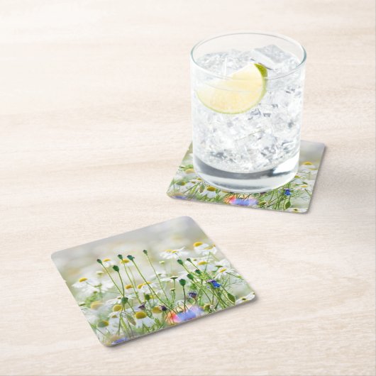 Papieren Onderzetters - Korenbloemen en madeliefje (Insitu)