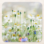 Papieren Onderzetters - Korenbloemen en madeliefje (Voorkant)