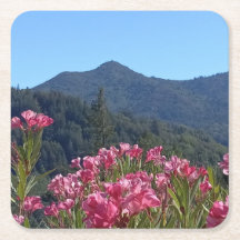 Papieren Onderzetters Mt Tamalpais met Roze Bloeme