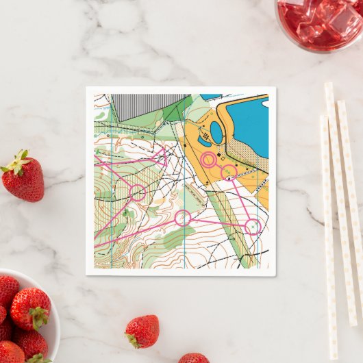 Papieren servet - Oriënterende kaart (Insitu)