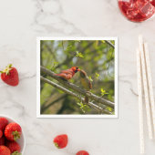 Papieren servetten, zoenende kardinalen. servet (Insitu)