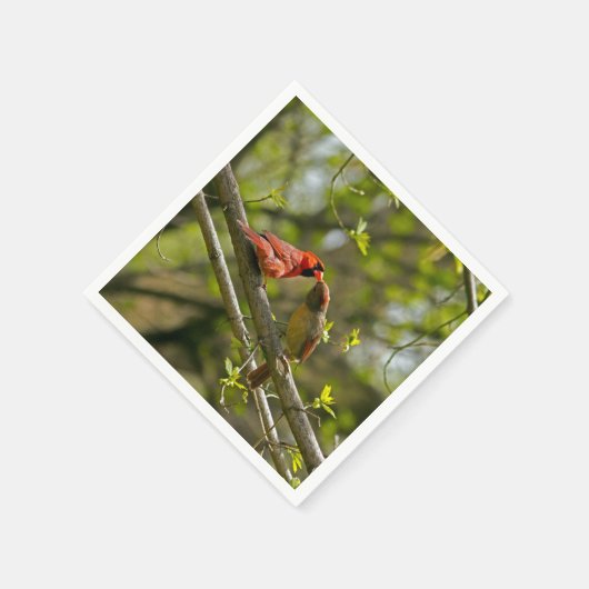 Papieren servetten, zoenende kardinalen. servet (Hoek)