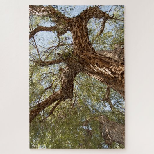 Papieren thorbinaire structuur - Opzoeken Legpuzzel (Verticaal)