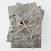 Papieren vellen met omhulling van bomen (In situ)