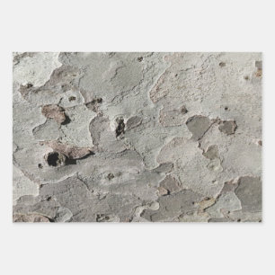 Papieren vellen met omhulling van bomen