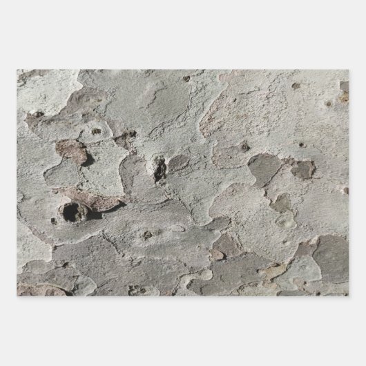 Papieren vellen met omhulling van bomen (Voorkant)