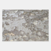 Papieren vellen met omhulling van bomen (Voorkant 3)