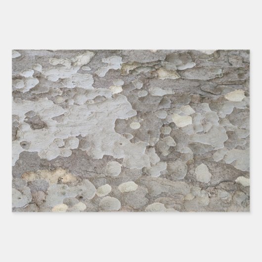 Papieren vellen met omhulling van bomen (Voorkant 3)